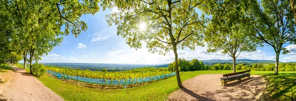 Panorama Kiedrich Hessen Rheingau Germania — Foto Stock