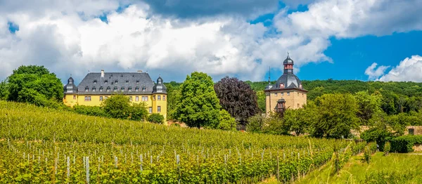 Castle Vollrads Oestrich Winkel Hessen Alemanha — Fotografia de Stock