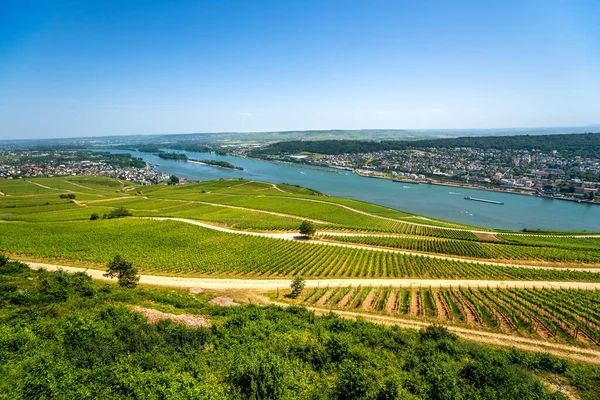 Vista Sobre Ruedesheim Rheingau Hessen Alemanha — Fotografia de Stock