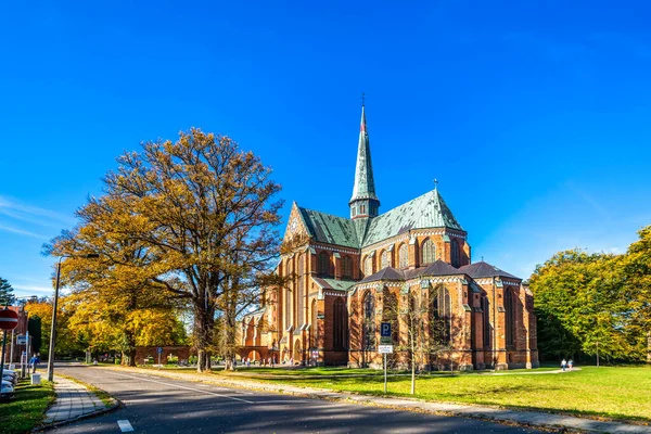 Catedral Doberan Malo Mar Báltico Alemania — Foto de Stock