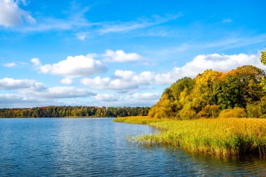 Dobbertin Manastırı, Mecklenburg Vorpommern, Almanya 