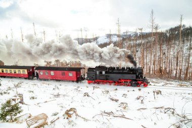 Saksonya Anhalt, Almanya 'da Kırık Harz Dağı 
