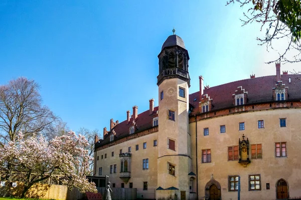 Luther House Wittenberg Tyskland — Stockfoto