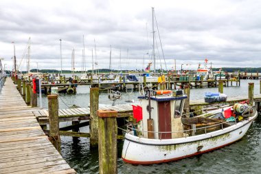 Marina Maasholm 'de, Holstein, Almanya