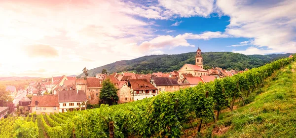 Vista Sobre Riquewihr Alsácia França — Fotografia de Stock