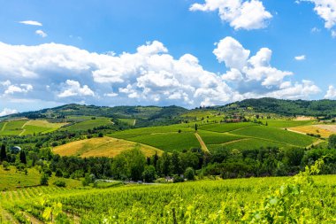 Üzüm bağları olan Toskana 'nın güzel manzarası 