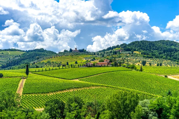 Wunderschöne Landschaft Der Toskana Mit Weinbergen — Stockfoto
