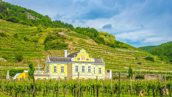 Village Duernstein Wachau Österrike — Stockfoto