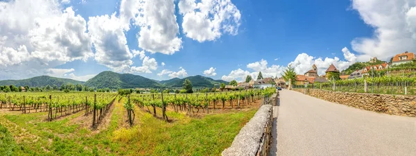 Village Duernstein Wachau Austria — стокове фото