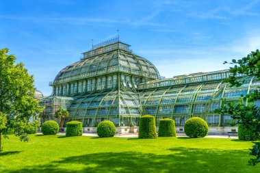 Avusturya, Viyana 'da botanik bahçesi 