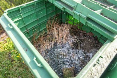 Bahçede yeşil gübre 