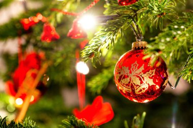 Noel ağacı Noel dekorasyonu ile