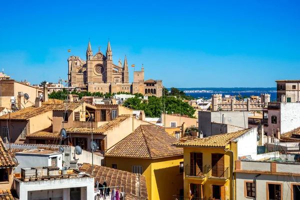 Cathédrale Palma Majorque Majorque Espagne — Photo