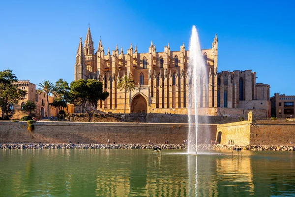 Cathedrale Palma Maiorca Maiorca Espanha — Fotografia de Stock