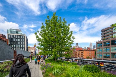High Line Park, New York City, ABD 