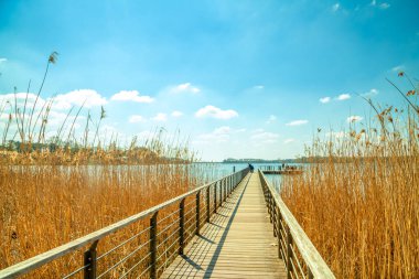 Scharmuetzelsee İskelesi, Bad Sparrow, Almanya 