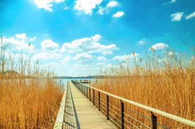 Scharmuetzelsee İskelesi, Bad Sparrow, Almanya 