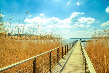 Scharmuetzelsee İskelesi, Bad Sparrow, Almanya 