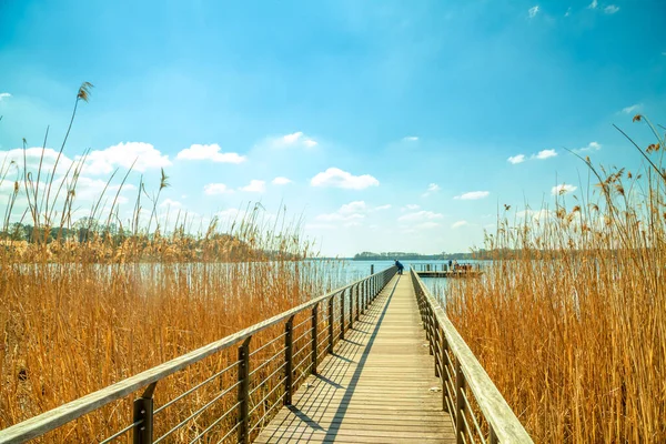 Scharmuetzelsee İskelesi, Bad Sparrow, Almanya 