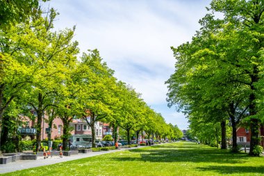 Park, Aurich, Doğu Friesland, Almanya 