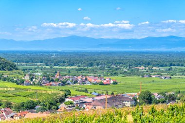 Texaspass, Kaiserstuhl 'daki üzüm bağları, Endingen, Baden Wuerttemberg, Almanya