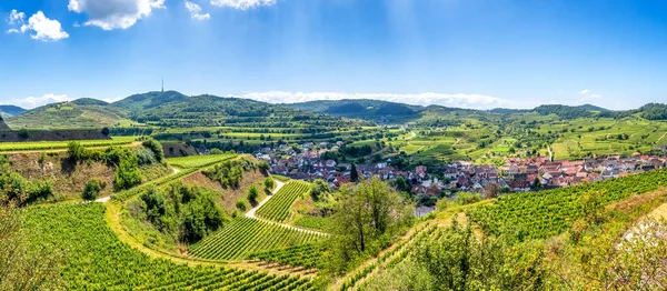 Texaspass Kaiserstuhl Daki Üzüm Bağları Endingen Baden Wuerttemberg Almanya — Stok fotoğraf