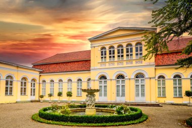 Turuncu, Kamu Bahçesi, Neustrelitz, Almanya 