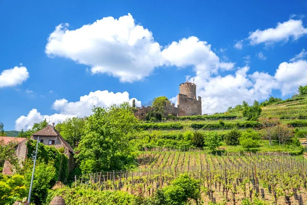 Castle Kaysersberg Alsace France — Foto Stock