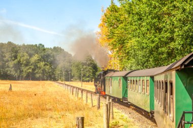 Loessnitzgrundbahn at Radebeul, Saxony, Germany 