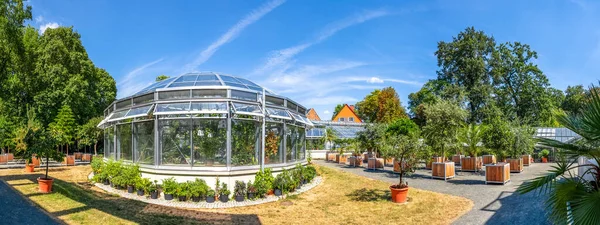 Botanischer Garten Gießen Hessen Deutschland — Stockfoto