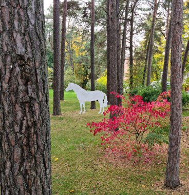 Sonbaharda ağaçlarda ve çalılarda güzel ve çeşitli sarı yaprak renkleri.