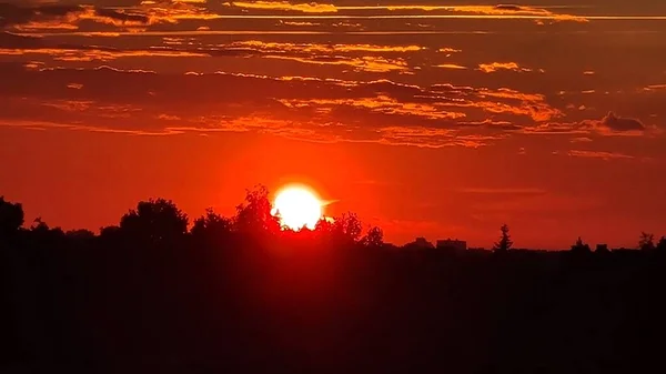 Hermosa Puesta Sol Cielo Rojo Brillante Sobre Los Árboles Las — Foto de Stock