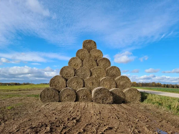 Pirámide Grande Hecha Muchos Rollos Redondos Heno Seco Para Alimentación —  Fotos de Stock