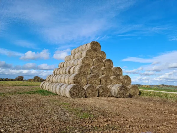 Pirámide Grande Hecha Muchos Rollos Redondos Heno Seco Para Alimentación —  Fotos de Stock