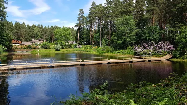 Klein Meer Een Park Het Letse Dorp Babite Juni 2021 — Stockfoto