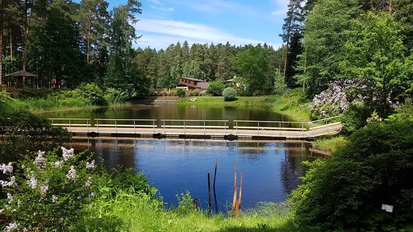 Small Lake Park Latvian Village Babite June 2021 — Stock Photo, Image