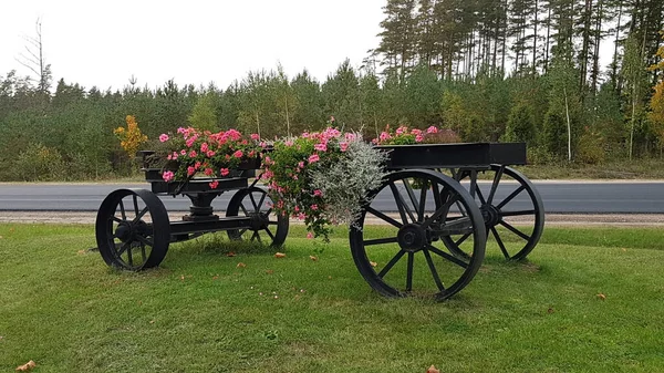 Many Flowers Large Metal Cart Side Highway — Stock Photo, Image