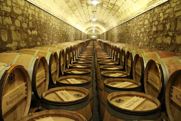 Wine Wooden Barrels Stored Aging Cellars Plant Elciego Spain June — Stock Fotó