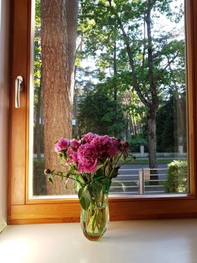 Güneş batarken cam bir vazoda duran bir buket güzel şakayık..