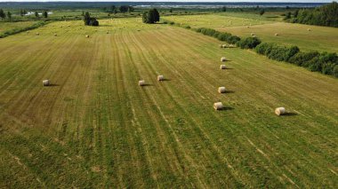 Büyük saman ruloları, hayvan yemi için kış mevsimi kurusun diye tarlalara saçıldı..