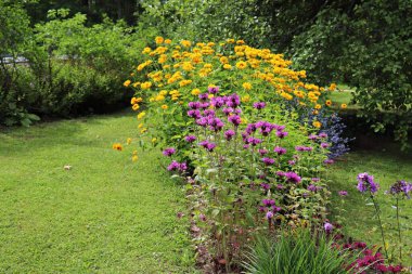 Tall stems of wildflowers with small, beautiful pastel flowers grow among the shrubbery.