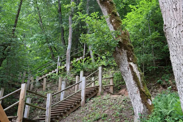 Long Wooden Pedestrian Staircase Base Hill Its Peak Built Walking — стоковое фото