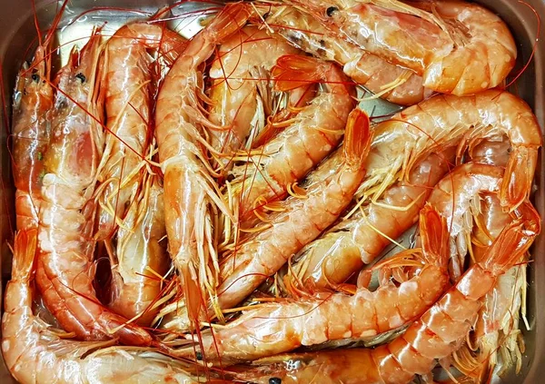 Boiled Langoustines Prepared Lunch Considered Delicious Seafood — Stock Photo, Image