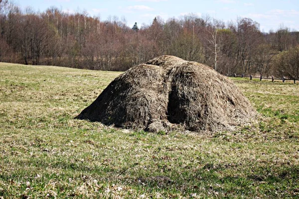 Side Hill Small Last Year Dry Haystack — Stock Photo, Image