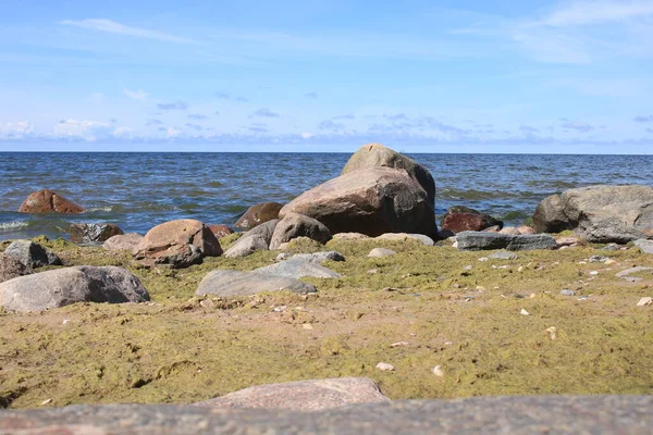 Grandes rocas de piedra en la orilla del Golfo de Riga en un día de verano — Foto de Stock