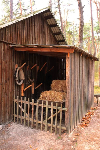 Collares Caballo Fardos Secos Heno Anexo Abierto Junto Cobertizo Madera — Foto de Stock