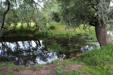 Yeşil çimenler ve ağaçlarla kaplı küçük bir nehrin sakin yatağı.