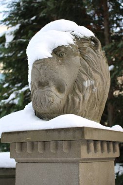 Şehir parkındaki bir kaidede karla kaplı büyük taş bir aslan kafası..
