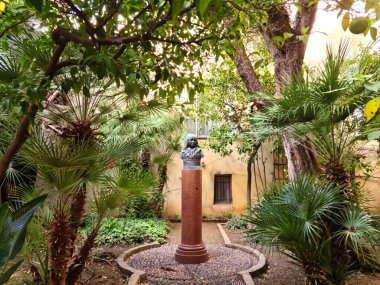 Kasım 2021 'de Korsika şehri Ajaccio' nun meydanında sokaklara ilgi.