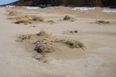 2020 baharının başlarında Riga Körfezi 'nin Jurmala kıyısındaki Letonya' da kum tepeleri.